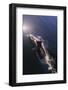 Chile, Patagonia, Lake District. Peale's Dolphin in Estero Cahuelmo.-Fredrik Norrsell-Framed Photographic Print