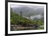 Chile, Patagonia, Lake District, Pumalin National Park. Valdivian rainforest-Fredrik Norrsell-Framed Photographic Print