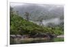 Chile, Patagonia, Lake District, Pumalin National Park. Valdivian rainforest-Fredrik Norrsell-Framed Photographic Print