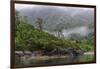 Chile, Patagonia, Lake District, Pumalin National Park. Valdivian rainforest-Fredrik Norrsell-Framed Photographic Print