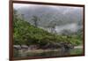 Chile, Patagonia, Lake District, Pumalin National Park. Valdivian rainforest-Fredrik Norrsell-Framed Photographic Print