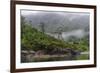 Chile, Patagonia, Lake District, Pumalin National Park. Valdivian rainforest-Fredrik Norrsell-Framed Premium Photographic Print