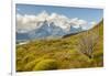 Chile, Patagonia. Lake Pehoe and The Horns mountains.-Jaynes Gallery-Framed Photographic Print