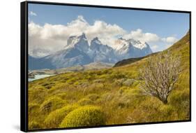 Chile, Patagonia. Lake Pehoe and The Horns mountains.-Jaynes Gallery-Framed Stretched Canvas