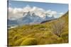 Chile, Patagonia. Lake Pehoe and The Horns mountains.-Jaynes Gallery-Stretched Canvas