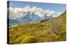 Chile, Patagonia. Lake Pehoe and The Horns mountains.-Jaynes Gallery-Stretched Canvas