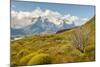 Chile, Patagonia. Lake Pehoe and The Horns mountains.-Jaynes Gallery-Mounted Photographic Print