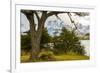 Chile, Patagonia. Lake Pehoe and The Horns mountains.-Jaynes Gallery-Framed Premium Photographic Print