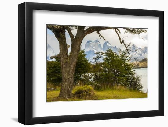 Chile, Patagonia. Lake Pehoe and The Horns mountains.-Jaynes Gallery-Framed Photographic Print