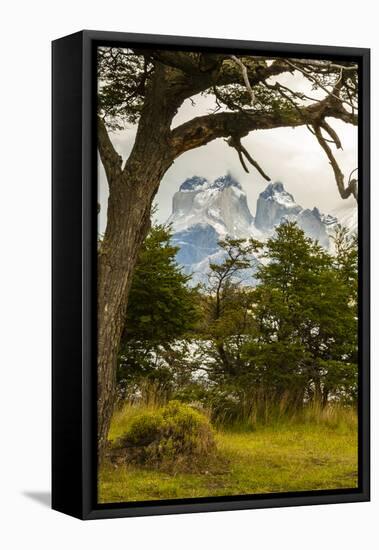 Chile, Patagonia. Lake Pehoe and The Horns mountains.-Jaynes Gallery-Framed Stretched Canvas