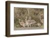 Chile, Patagonia. Male rhea and chicks.-Jaynes Gallery-Framed Photographic Print