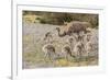 Chile, Patagonia. Male rhea and chicks.-Jaynes Gallery-Framed Premium Photographic Print