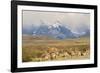 Chile, Patagonia. Rhea father and chicks.-Jaynes Gallery-Framed Photographic Print