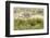 Chile, Patagonia. Rhea running.-Jaynes Gallery-Framed Photographic Print