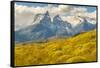 Chile, Patagonia. The Horns mountains.-Jaynes Gallery-Framed Stretched Canvas