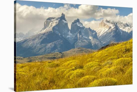 Chile, Patagonia. The Horns mountains.-Jaynes Gallery-Stretched Canvas