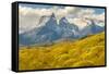 Chile, Patagonia. The Horns mountains.-Jaynes Gallery-Framed Stretched Canvas