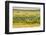 Chile, Patagonia, Tierra del Fuego. King Penguin Colony-Cathy & Gordon Illg-Framed Photographic Print