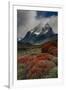 Chile, Patagonia, Torres Del Paine, firebush and mountain-Howie Garber-Framed Photographic Print