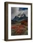 Chile, Patagonia, Torres Del Paine, firebush and mountain-Howie Garber-Framed Photographic Print