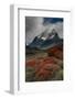 Chile, Patagonia, Torres Del Paine, firebush and mountain-Howie Garber-Framed Photographic Print