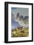 Chile, Patagonia, Torres del Paine. Guanaco in Field-Cathy & Gordon Illg-Framed Photographic Print