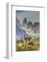 Chile, Patagonia, Torres del Paine. Guanaco in Field-Cathy & Gordon Illg-Framed Photographic Print