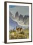 Chile, Patagonia, Torres del Paine. Guanaco in Field-Cathy & Gordon Illg-Framed Photographic Print