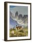 Chile, Patagonia, Torres del Paine. Guanaco in Field-Cathy & Gordon Illg-Framed Photographic Print