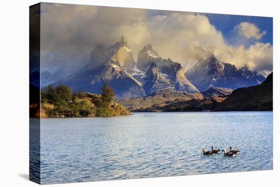 Chile, Patagonia, Torres Del Paine National Park, Cuernos Del Paine Peaks and Lake Pehoe-Michele Falzone-Stretched Canvas