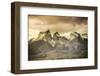 Chile, Patagonia, Torres Del Paine National Park, Cuernos Del Paine Peaks and Lake Pehoe-Michele Falzone-Framed Photographic Print