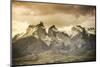 Chile, Patagonia, Torres Del Paine National Park, Cuernos Del Paine Peaks and Lake Pehoe-Michele Falzone-Mounted Photographic Print