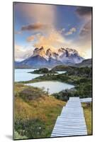 Chile, Patagonia, Torres Del Paine National Park (Unesco Site), Lake Peohe-Michele Falzone-Mounted Photographic Print