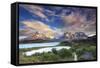 Chile, Patagonia, Torres Del Paine National Park (Unesco Site), Lake Peohe-Michele Falzone-Framed Stretched Canvas