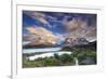 Chile, Patagonia, Torres Del Paine National Park (Unesco Site), Lake Peohe-Michele Falzone-Framed Photographic Print