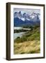 Chile, Patagonia Torres del Paine National Park with Grasses-John Ford-Framed Photographic Print