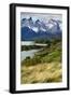 Chile, Patagonia Torres del Paine National Park with Grasses-John Ford-Framed Photographic Print