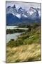 Chile, Patagonia Torres del Paine National Park with Grasses-John Ford-Mounted Photographic Print