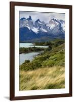 Chile, Patagonia Torres del Paine National Park with Grasses-John Ford-Framed Photographic Print