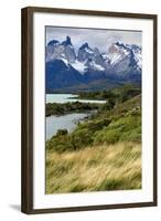 Chile, Patagonia Torres del Paine National Park with Grasses-John Ford-Framed Photographic Print