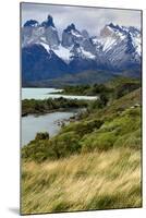 Chile, Patagonia Torres del Paine National Park with Grasses-John Ford-Mounted Photographic Print