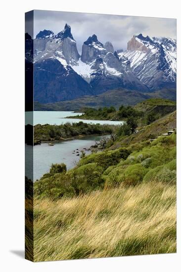 Chile, Patagonia Torres del Paine National Park with Grasses-John Ford-Stretched Canvas