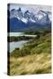 Chile, Patagonia Torres del Paine National Park with Grasses-John Ford-Stretched Canvas