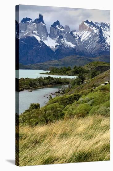 Chile, Patagonia Torres del Paine National Park with Grasses-John Ford-Stretched Canvas