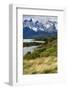 Chile, Patagonia Torres del Paine National Park with Grasses-John Ford-Framed Photographic Print