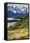 Chile, Patagonia Torres del Paine National Park with Grasses-John Ford-Framed Stretched Canvas