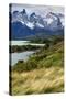 Chile, Patagonia Torres del Paine National Park with Grasses-John Ford-Stretched Canvas