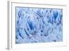 Chile, Patagonia, Torres del Paine NP. Close-up of Blue Glacier-Cathy & Gordon Illg-Framed Photographic Print