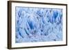 Chile, Patagonia, Torres del Paine NP. Close-up of Blue Glacier-Cathy & Gordon Illg-Framed Photographic Print