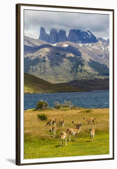 Chile, Patagonia, Torres del Paine NP. Mountains and Guanacos-Cathy & Gordon Illg-Framed Premium Photographic Print